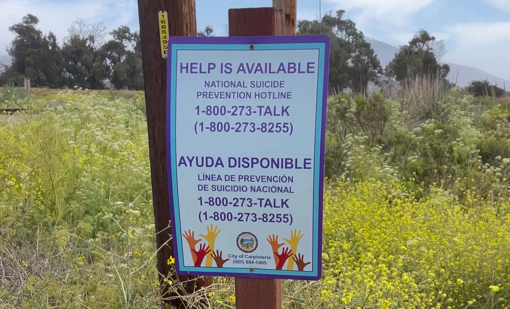 Carpinteria suicide line