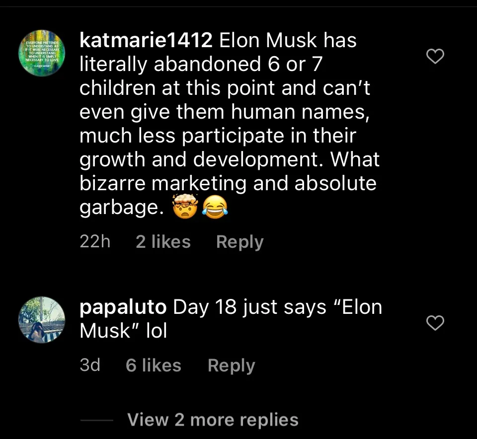 Elon Musk has literally abandoned 6 or 7 children at this point and can&#x27;t even give them human names, much less participate in their growth and development. What bizarre marketing and absolute garbage. [head explodes]